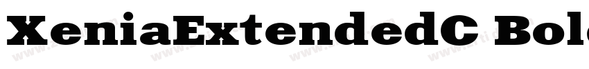 XeniaExtendedC Bold字体转换